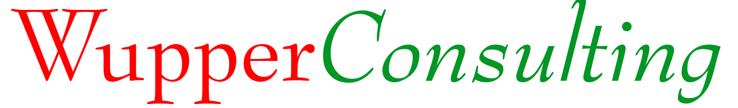Logo WupperConsulting
